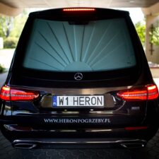 Heron karawan (1)