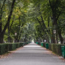 Pogrzeby na Cmentarzu Bródnowskim